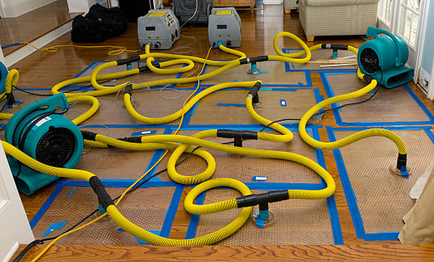 Professional Crawl Space Water Removal technician working in North Baltimore, OH